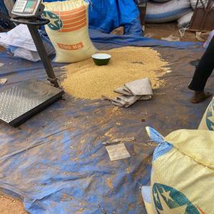  Soja - céréales salutations &agrave; tous ! --2000t de soja disponible a ouagadougou actuellement a raison de 355 000 la--tonne .--int&eacute;ress&eacute;s,  contactez nous directement via notre num&eacute;ro .