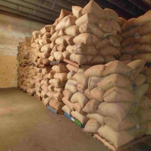  Conventional Soybean Buyer At 480 Kg - cereals looking for buyer of soybeans in large quantities. we have more than 5000 tons. to be provided to the store with immediate payment. ...----contact me to be well without being on it