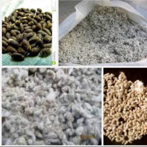  Vente De Graines De Coton - semence graine plant bonjour --notre entreprise vous  propose c'est meilleurs produits .--graines de coton de bonne qualité --origine benin.--et recherche des acheteurs sérieux. --pour tout vos besoins contactez nous.--exportation partout dans le mondes merci 