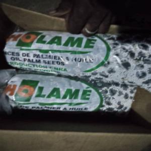  Semeneces Tenera F1 Irho Lame). - semence graine plant vous souhaitez faire votre planting pendant la grande saison des pluies? --alors c'est le moment de preparer vos penpinieres ,  pour ce faire nous avons les semences de palmiers tenera f1 ,  alors commandez aujoud'hui vos semences --rendement- 30 tonnes/ha/an.--prix- 50.000 fr/ha ( 200 grains germes).