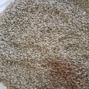  Cafe Arabique D'ethiopie - café cacao thé je suis nouveu membre d'ethiopie et j'ai la possiblite du fournir cafe ethiopian donc n'hesite pas a me contacter sur le site espaceagro ou direct en mail.