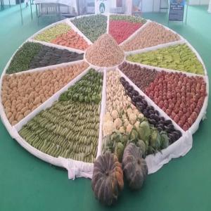  Fruits Et Legumes Saisionners Provenant D'algerie - fruits et légumes l entreprise france amer business international est n&eacute;e d une passion de l algerie ainsi que ses ressources naturelles. nous repr&eacute;sentons le pont qui relie les producteurs et les consommateurs industriels du monde entier en garantissant le meilleur rapport qualit&eacute;-prix du march&