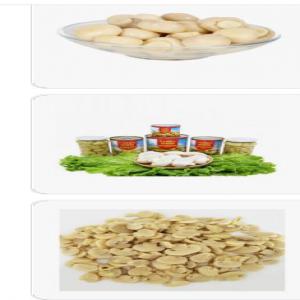  Champion En Conserve - champignon levure nous disposons d'une énorme quantité de boîte de champion en canned. et avons une grande capacité de production mensuelle.--intéressé,  n'hésitez pas à nous contacter.--merci 