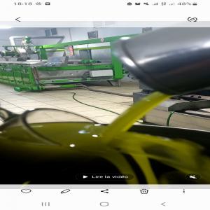  Huile D'olive Extra Vierge - huiles  nous sommes producteur de huile d'olive extra vierge conditionne nous maitrisons tout la chaine de production de la plantation production extraction emballage et export ce qui garantie un qualite premium de notre produit 