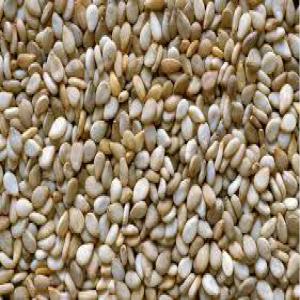  Urgent Vente Soja Blanc Burkina - céréales courtier dans l agroalimentaire et j'apporte une aide aux acheteurs internationaux en les faisant b&eacute;n&eacute;ficier des meilleurs produits agricoles issus de mon large r&eacute;seau de producteurs d&eacute;tenant de larges quantit&eacute;s. produit soja blanc stock disponible +1000 ton