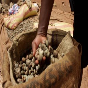  Vente De Noix De Cajou - fruits secs et graines grillées  nous vous proposons &agrave; la vente des noix de cajou d'origine ouest africaine (b&eacute;nin c&ocirc;te d'ivoire togo ). nous pouvons vous fournir les quantit&eacute;s souhait&eacute;es d'une qualit&eacute; irr&eacute;prochable &agrave; des tarifs comp&eacute;titifs. n'h&ea