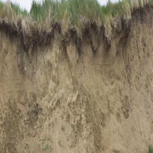 12 Hct Sableneux - mine terrain concession  je met en vent un terrain de 12 hct situ&eacute;e a l arrache pr&eacute;cis&eacute;ment a3ewamerra ressana janoubiya . r&eacute;server pour la cultive d avocatiers ou fruits rouges . terre titre cl&ocirc;turer avec puits .pompe bassin d irrigation . plus d infos contacter moi merci