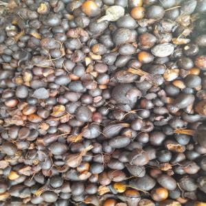  Amandes - autres bonjour j'ai 20 tonnes d'amande disponible actuellement pour tout ceux qui sont dans le besoin n'hésitez pas à me contacter le plus rapidement possible.--vous venez avec votre camion on vous chargé.