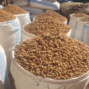  Vente De Souchet De Qualité - fruits secs et graines grillées bonjour nous disposons d'un stock de souchet de qualit&eacute;. si vous etes int&eacute;ress&eacute; merci de nous contacter.