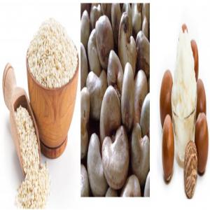  Beurre Karité ;noix De Cajou ;sésame ;fruits Secs - autres disposant de très grandes potentialités pour les produits du cru et les fruits secs (acajou,  sésame,  beurre de karité,  mangues séchées) nous recherchons des clients intéressés par l'importation de grandes quantités. le très bon ra