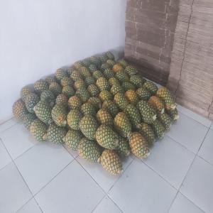  Ananas 🍍 En Stock - fruits et légumes la pulpe de l'ananas est sucr&eacute;e et tr&egrave;s parfum&eacute;e. c'est une brom&eacute;liac&eacute;e. le mot ananas provient du tupi-guarani naná naná,  qui signifie  parfum des parfums . --ce fruit exotique est disponible chez nous en stock est pret &agrave; etre exp&eacute;di&eacute;. --pour 