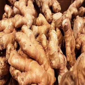  Le Gingembre Bio Naturel Produits Au Togo. - fruits et légumes comme vous le savez le gingembre bio est connu dans de nombreux pays pour sa valeur culinaire mais également pour soulager différents maux comme les rhumatismes,  la fatigue,  les nausées,  le rhume,  les maux de tete et surtout les problèmes digestifs. le gingembre peut etre