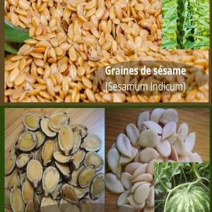 Le Sésame Bio Togolais - céréales je vous propose le sésame bio togolais. pour un meilleur prix. alors n'hésitez pas de me contacter. merci 