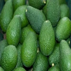  Avocado Fraîche En Stock - fruits et légumes ovocado frais,  c est un fruit exotique,  riche en vitamines et minéraux. il est parmis les fruits les plus demandés à cette période de l'année. --riche en fibres et en vitamines. ----nos produits sont biologiques et bien cueillis. --nous mettons à votre dispo