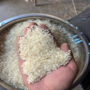  Recherche D'acheteurs Du Riz Indien Parboiled - fruits secs et graines grillées bonjour &agrave; tout le monde ---- nous avons du riz indien parboiled d&eacute;j&agrave; en mer ouest africaine ----  *qualit&eacute; -* riz parboiled 5% de brisures----  *origine -* inde----  *quantit&eacute; -* 10 conteneurs (270 tonnes)----  *destination -* ports ouest africains ----  *prix -*  