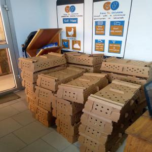  Cameroun: Poussins D'un Jour - animaux vivants un élevage de volailles réussi au cameroun commence par des poussins d'un jour de qualité. nous produisons et fournissons chaque semaine des poussins d'un jour vaccinés cobb500 de qualité. arretez de vous plaindre de la rareté des poussins d'un jour car vous