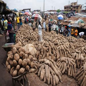 Igname Bio Togolais  - fruits et lgumes je vous propose igname bio togolais. peut importe la quantité de que vous voulez. n'hésitez pas de me contacter 