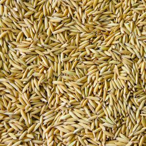  Riz Non Décortiqués Bio - fruits secs et graines grillées je vous propose le riz non décortiqués en quantité comme en qualité. comme vous le savez tout ce qui sort de l'afrique est naturel et bio . alors n'hésitez pas de me contacter pour qu'on puisse bien causé. merci 