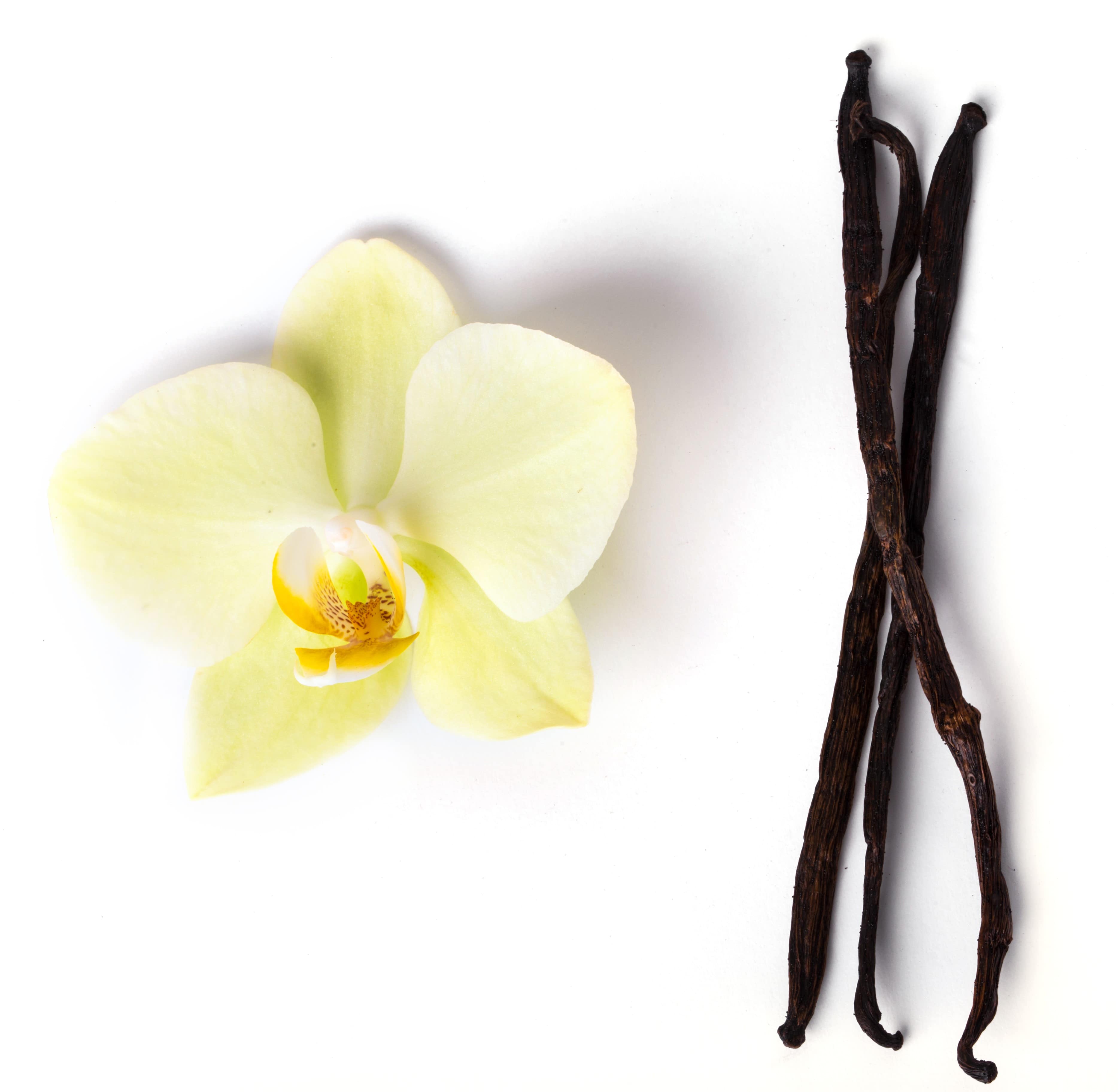  Café Cacao Et Fruits Sec - café cacao thé nous sommes bas&eacute;s en allemagne sp&eacute;cialis&eacute;e dans le n&eacute;goce et d importation du caf&eacute; et cacao de la zone afrique. nous recherchons des clients et importateurs distributeurs europ&eacute;ens prix tr&egrave;s comp&eacute;titif nous livrons dans des meilleurs d&e