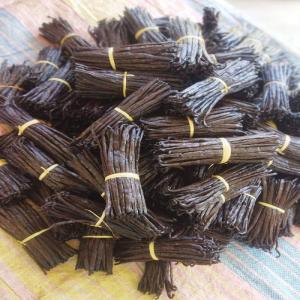  Best Quality Vanilla 17cm+ Magadascar Origin - aromatic spices buy bulk quantity vanilla beans madagascar origin get high satisfaction with the quality and service with us. specification item name vanilla beans type bourbon length 17cm+ color black vanilla beans vanillin 2.5% moisture 30% 35% shelf life 2 years application ice cream