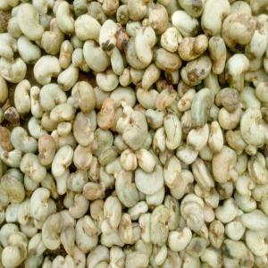  Nous Recherchons Des Partenaires Potentiels - céréales bonsoir à tous--nous sommes situés en république du bénin et spécialisé dans l'exportation des matières premières telles que le soja, la cajou, la karité,  le piment, le soja,  l'igname et le manioc.--nous disposons d'une grande quantit&eacut