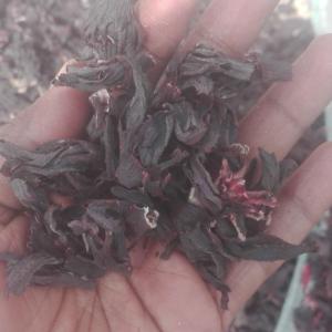 Hibiscus Flower - other clean standard hibiscus flower in large quantity. we have both black and red available anad we are ready to export every where in the world----mode of payment; 30% advance payment and 70% irrevocable lc