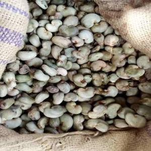  Looking For Serious Buyers Of Raw Cashew Nuts - roasted seeds and nuts hi are you looking for raw cashew nuts kernel or unshelled ? we can help you with your requirements. we have all type of grades w180 w240 w320 w450. just specify what grade you want your quantity your mode of payment the incoterm. the frequency of delivery if necessary the port of destinatio