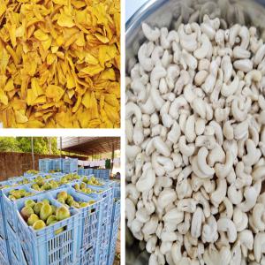  Mangues Séchées Et Amandes De Cajou Certifiées - fruits et légumes la coop&eacute;rative est sp&eacute;cialis&eacute;e dans la production et la transformation de la mangue et de l'anacarde. la campagne mangue  et anacarde d&eacute;butera bient&ocirc;t au burkina faso. a cet effet nous cherchons des partenaires commerciaux pour des affaires. --nb- nous produisons su