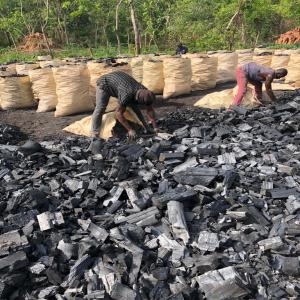  Export De Charbon De Bois - bois charbon fibre nous exportons du très bon charbon de bois avec une capacité de livraison de 120 tonnes/mois.--le coût tonne est $490 fob.--conditionnement - vrac --nb- possibilité personnalisée l’emballage à la 