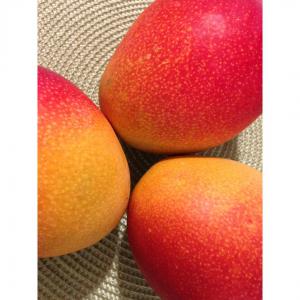  Mangue Frais Du Sénégal - fruits et légumes la campagne de mangue va bient&ocirc;t commencer en afrique de l'ouest. notre soci&eacute;t&eacute; de production et d'exportation de mangue vous propose de la mangue frais d'origine s&eacute;n&eacute;gal c&ocirc;te d'ivoire et burkina fasso. nos produits sont de tr&egrave;s bonne et sont certifi&e