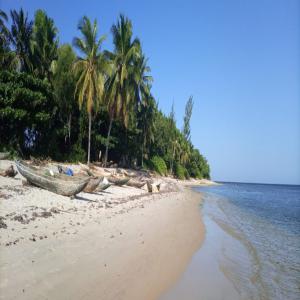  Partenariat Hôtel - mine terrain concession je poss&egrave;de terrain 15000 m&egrave;tre carr&eacute; bord de mer titr&eacute; born&eacute; &agrave; manompana madagascar en face de l'&icirc;le sainte marie. je recherche partenariat pour projets h&ocirc;tel bungalow où je vends le terrain 120000 euros 