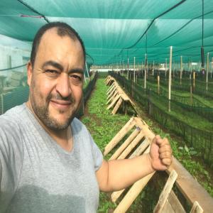  Escargots Vivants Ou Transformés - live animals we are tunisian investors,  in the field of breeding and valorization of snails helix aspersa maxima (gros gris) and helix aperta,  oir farm is spread over 3 hectares, --to increase our production,  we are looking for international customers or partners, ----nous sommes des  investisseurs tunisiens,  dans