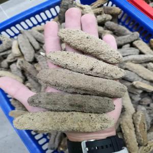  Vente De Concombres De Mer - poissons bonjour nous pouvons vous fournir les concombres de mer en quantite. disponibles a dakar. merci de nous contacter. 