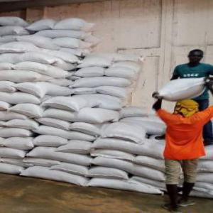  Touteaux De Soja - céréales touteaux de soja disponible des tonnes assurance taxes douani&egrave;res livraison partout dans le monde touteaux de soja 45% tonne@koyotykoyot enockzinzindohoue@gmail.com 