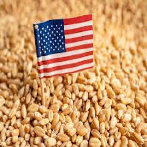  Wheat From Usa - céréales validity february 20 2023 (price quotation valid until february 20 2023. our seller and seller mandate can supply wheat from usa and from kazakhistan according below conditions in yearly contract. payment can be transferable sblc or transferable ardlc payable at loading port against shipme