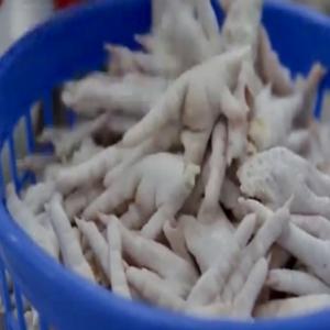  Chicken Paws/feet/mjw - viandes et oeufs  nous pouvons vous fournir de 10 &agrave; 50 containers par mois faire votre demande par loi avec sif prix 1950 / 2100 /mt /usd paiement sblc / dlc