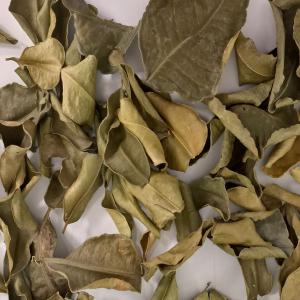  Feuilles De Citron Kaffir Bio - autres feuilles s&eacute;ch&eacute;es de citron kaffir bio (citrus hystrix) origine thaïlande. quantit&eacute; de 30kg disponible