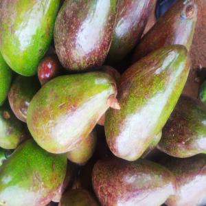  Recherche Acheteurs - fruits et légumes nous produisons des l&eacute;gumes et fruits &agrave; l'instar de l'ananas,  l'avocat,  la past&egrave;que... et nous recherchons des partenaires et clients pour l'&eacute;coulement de nos produits qui sont livr&eacute;s etant d&eacute;j&agrave; emball&eacute;s au port autonome de douala pour l'export