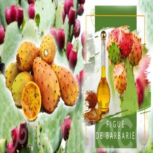  Huile De Pépins De Figue De Barbarie - huiles je cherche un producteur de la tunisie pour l'huile de pépins de figue de barbarie--et ce pour export--uniquement des producteurs direct