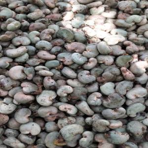  Fournisseur Du Noix De Cajou - fruits secs et graines grillées je cherche des fournisseurs du noix de cashew pouvant exp&eacute;dier en inde pour une quantit&eacute; importante. 