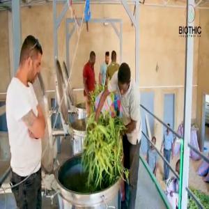  Offre Huile Essentielle Saveurs D'afrique - huiles  bas&eacute; au burkina faso fabrique et met &agrave; disposition des professionnels de l'industrie de la parfumerie de l'alimentaire de la cosm&eacute;tique et de la pharmacie des huiles essentielles des eaux florales de l'hydrolat issus de feuilles fleurs graines et racines de plantes aux