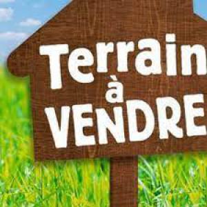  80 Hectare Terre Elvages - mine terrain concession  je met en vente un terrain de 80 hectares r&eacute;server au &eacute;levages ou la cultives des c&eacute;r&eacute;ales situ&eacute;e au se houle pr&eacute;s du capitale marocain. plus d infos contacter moi 