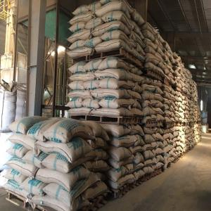  Robusta Coffee In Stock Arabica Coffee In Stock - roasted seeds and nuts + cleaned robusta s18 + wet polished robusta s18 + washed arabica s18 + dry arabica s18 + packing in jute bag 60kgs/bag. we are at your service for any further information. please contact us on 