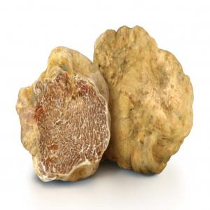  Truffes Algérie - fruits et légumes propose des truffes origine du sahara alg&eacute;rien fra&icirc;ches tous calibres arriv&eacute; &agrave; paris en avion juste apr&egrave;s la r&eacute;colte quantit&eacute; selon la demande veuillez me contacter si vous etes int&eacute;ress&eacute;. pas s&eacute;rieux s'abstenir svp.