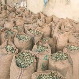  Recherche De Clients Pour Noix De Cajou - fruits secs et graines grillées noix de cajou de la saison 2023 de la cote d'ivoire disponible pour exportation origin,  kor - 47,  48,  49,  50 lbs--