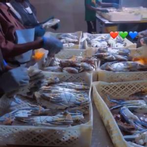  Plus De 3tonne De Crabe De Mer Surgelé Disponible - coquillage crustacé crabe de mer surgelé.--crabe entier,  demi crabe,  pince de crabe,  poitrine de crabe --3tonne600 par boite de 6 kilos.--prix fobb dakar disponible. --