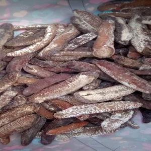  Concombre De Mer Rouge - fruits secs et graines grillées besoin du bon concombre de mer rouge à douala,  sec ou frais en grande quantité. le fournisseur doit accepter que l'échange soit fait en face s'il vous plaît je ne veux pas d'un fournisseur qui me demande de donner de l'argent et il s'occupe de l'expédition. 