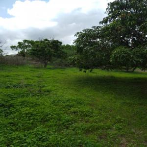  Vente De Terrain Sénégal - mine terrain concession recherche clients-acheteurs pour terrain situé au sénégal,  à l'entrée de thiès,  de plusieurs hectares (jusqu'à 30 hectares disponibles). terrain fertile,  idéal pour la culture de denrées alimentaires et totalement clôturé av