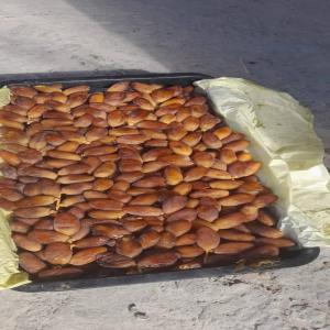  Fruit Et Légumes D'algérie - fruits et légumes bonjour,  ----importateur établie à paris,  je me permets de vous contacter afin de vous proposer nos produits dorigine algerie,  nouvelle récolte avec une meilleur qualité,  quantité disponible selon les demande de mes clients  + 30 t pour chaque produit.--les article