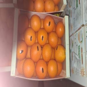  Moroccan Oranges Washington Sanguin - fruits and vegetables we can export until 1000 ton of washington sanguin to your country--we work on insurance basis for paiement--